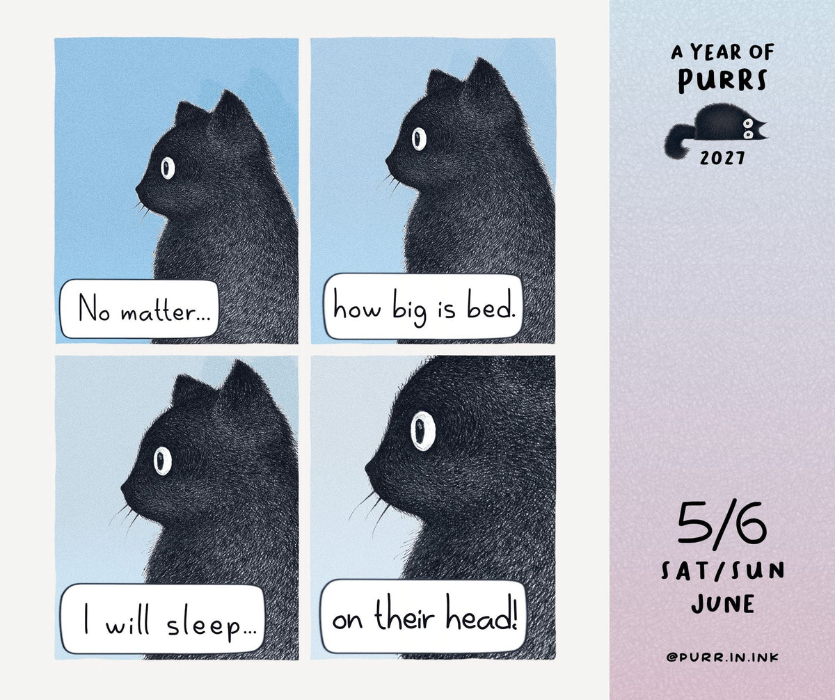 2027 A Year of Purrs Day-to-Day Calendar